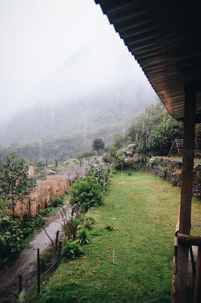 Processed with VSCO with a6 preset